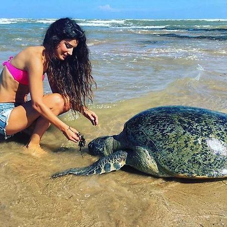 Готель Turtle Bay Хіккадува Екстер'єр фото