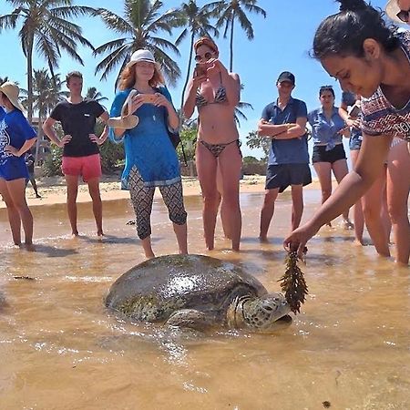 Готель Turtle Bay Хіккадува Екстер'єр фото