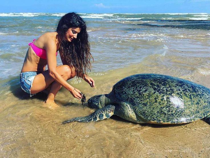Готель Turtle Bay Хіккадува Екстер'єр фото